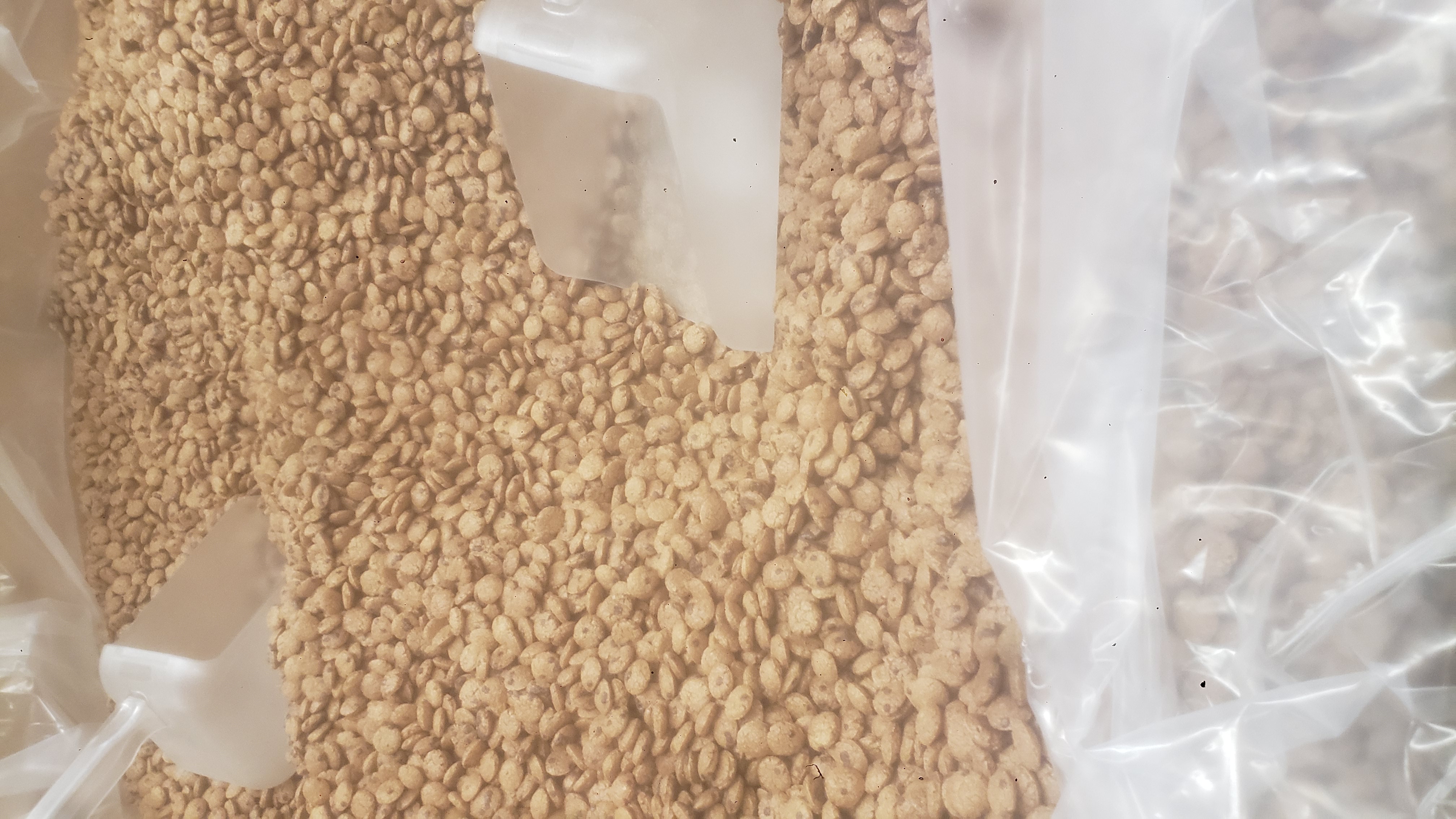Bulk bag of pinto beans with scoopers.